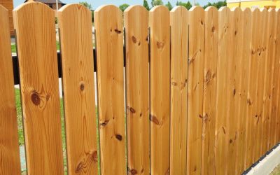 What is the Best Type of Fence for Gardens?